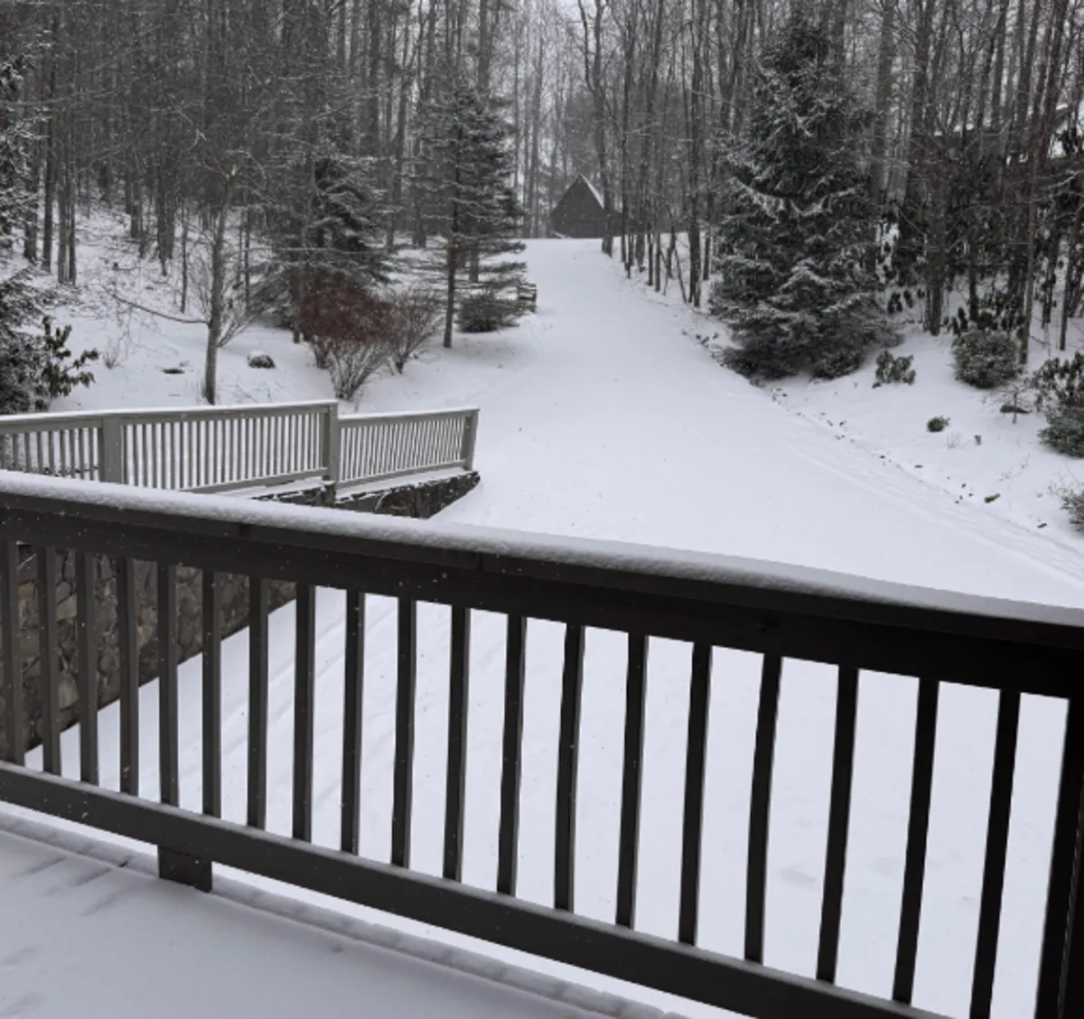 A wintry exterior scene featuring a snow-covered ground, wooden railing, and surrounding trees, with a distant cabin nestled in the landscape. The setting feels peaceful and remote, evoking the sense of a true mountain escape during the colder months.