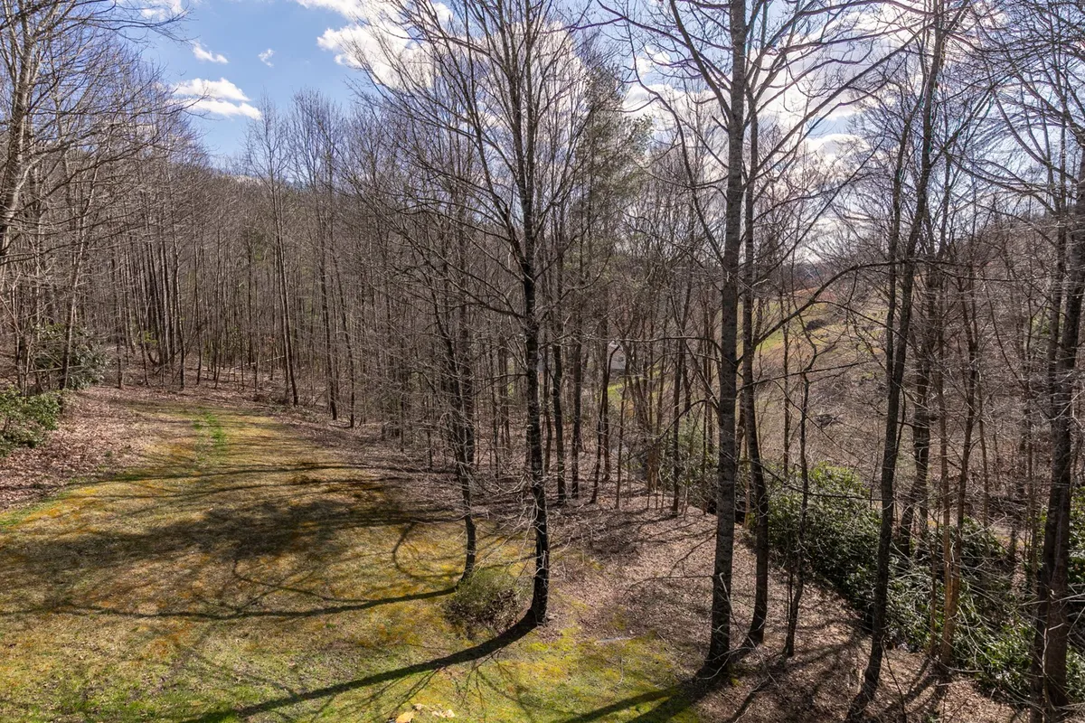A tranquil forest exterior with bare trees, mossy ground, and a winding pathway. The scene suggests opportunities for hiking, birdwatching, and quiet reflection amid natural surroundings.
